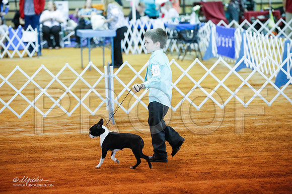 _JJ_2732-MarshMay2015-HR3