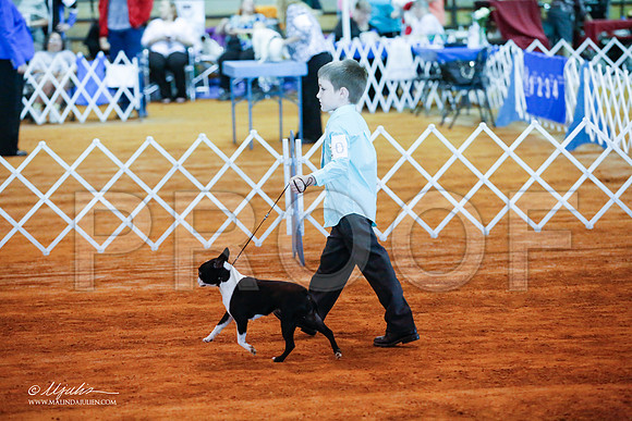 _JJ_2733-MarshMay2015-HR3