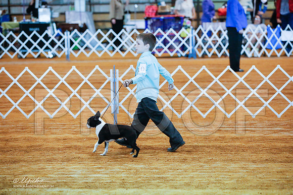 _JJ_2739-MarshMay2015-HR3