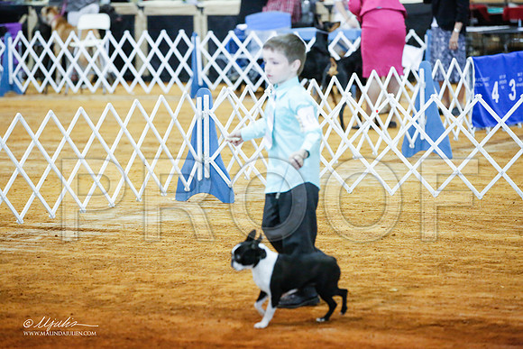 _JJ_2741-MarshMay2015-HR3