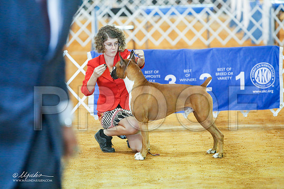 _JJ_2153-MarshMay2015-HR3