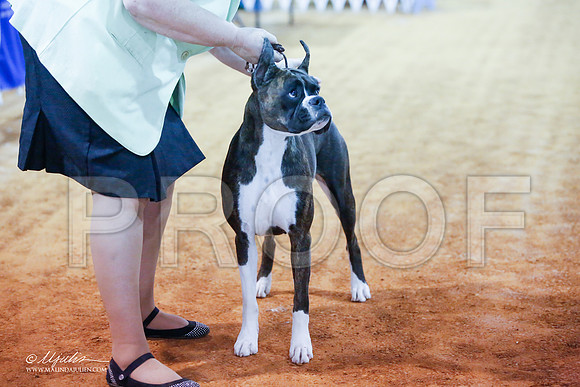 _JJ_2061-MarshMay2015-HR3