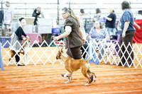 Boxers #17 #14 Wilke Debra and Lisa Goss  Sat Ring