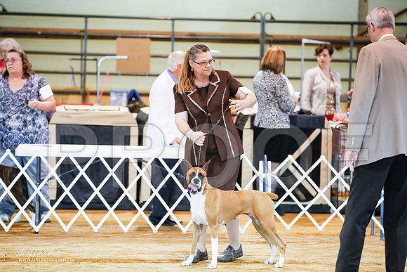 _JJ_1540-MarshMay2015-HR3