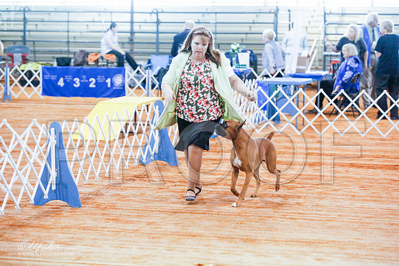 _JJ_1483-MarshMay2015-HR3
