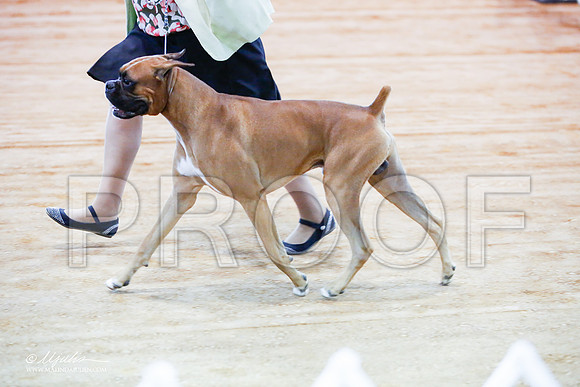 _JJ_1489-MarshMay2015-HR3