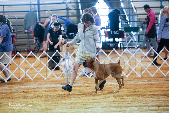 _JJ_2792-MarshMay2015-HR3