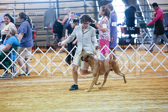 _JJ_2793-MarshMay2015-HR3