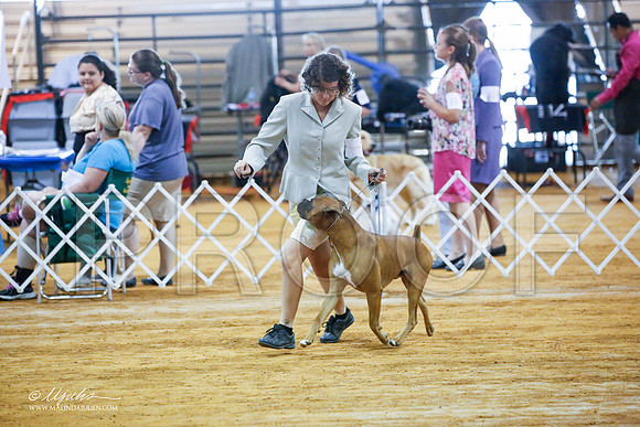_JJ_2794-MarshMay2015-HR3