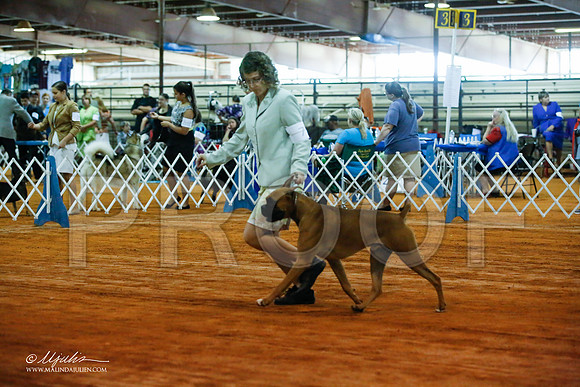 _JJ_2796-MarshMay2015-HR3