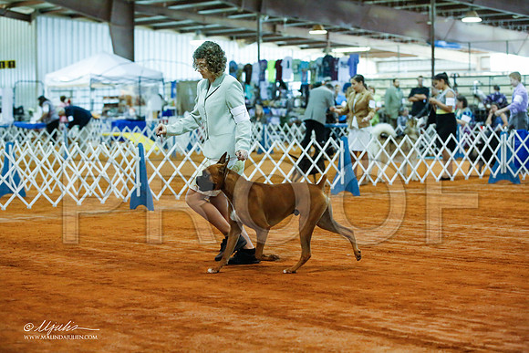 _JJ_2800-MarshMay2015-HR3