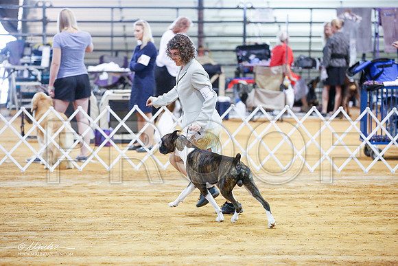 _JJ_2810-MarshMay2015-HR3