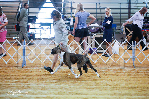 _JJ_2813-MarshMay2015-HR3