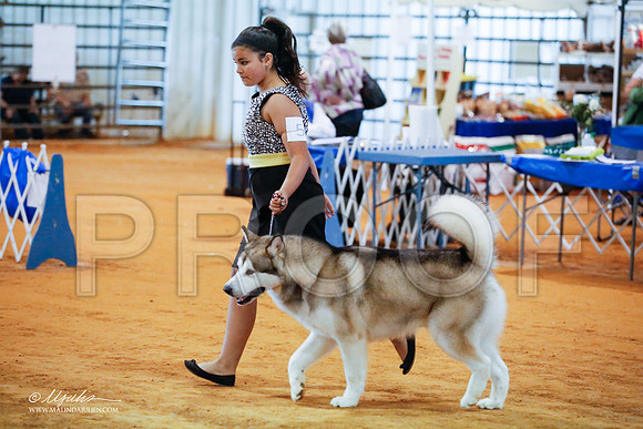 _JJ_3752-MarshMay2015-HR3