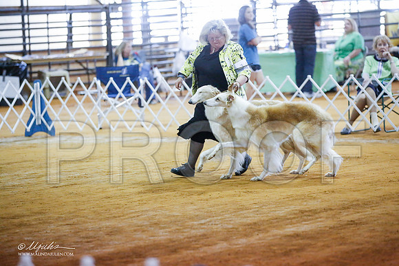 _JJ_3659-MarshMay2015-HR3