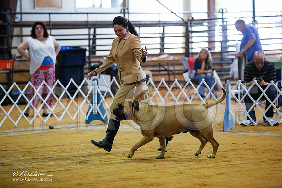_JJ_3707-MarshMay2015-HR3