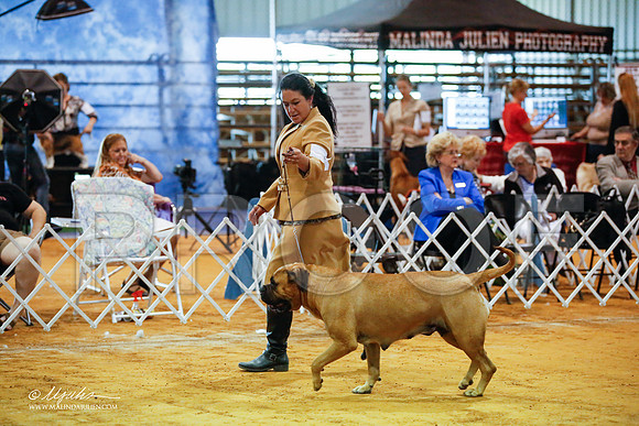 _JJ_3729-MarshMay2015-HR3