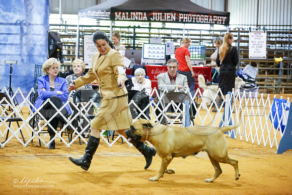 _JJ_3734-MarshMay2015-HR3