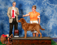 Chesapeake Bay Retriever #5 Sun G2 Dennis Tammy Debbie Glasser Craig Dennis Agent Tammy Dennis Judge Jon Cole