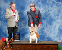 Bulldog #24 Sun BOW Claytor Judy and Jim Eileen Halverson Judge Michael Benson