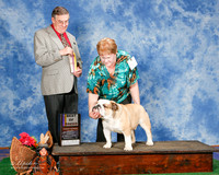 Bulldog #5 Sun BOB Strickland Lesa and Sara Black Judge Michael Benson