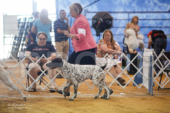 _JJ_3799-MarshMay2015-HR3