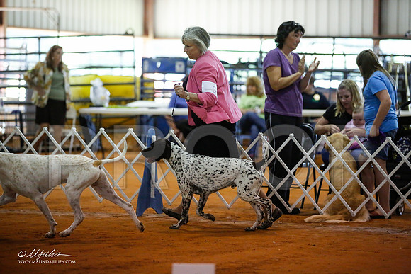 _JJ_3807-MarshMay2015-HR3