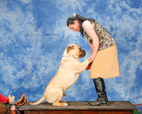 Bullmastiff #5 Sun Custom Mullins Donna