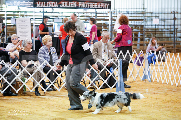 _JJ_2228-MarshMay2015-HR3