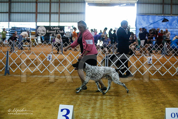 _JJ_3613-MarshMay2015-HR3