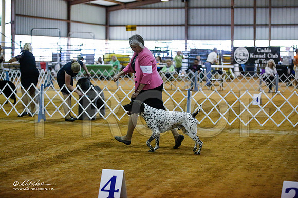 _JJ_3617-MarshMay2015-HR3