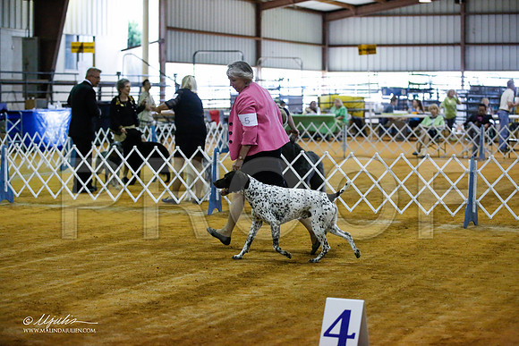 _JJ_3619-MarshMay2015-HR3
