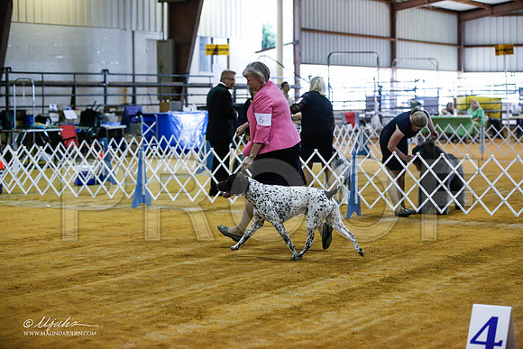 _JJ_3621-MarshMay2015-HR3