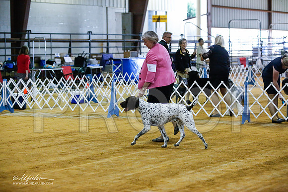 _JJ_3622-MarshMay2015-HR3