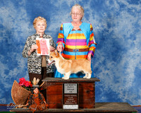 Cardigan Welsh Corgi #7 Sun 4-6 G1 Blume Barbara B and Joan P Adams