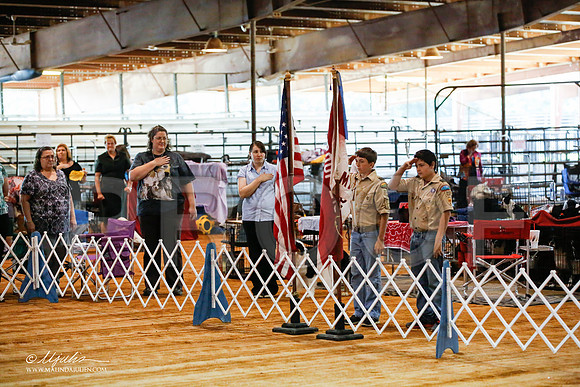 _JJ_1446-MarshMay2015-HR3