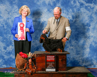 English Toy Spaniel #5 Sun G2 Knaus Sandy Agent Jeff L Wright Judge Vicki Abbott