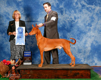 Pharaoh Hound #5 sun G1 Loggins Cathy Wilson Judge Keke Kahn