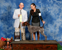 German Shorthaired Pointer #9 Sun 4-6 G3 Veeder Sharon Judge Benson Ray