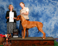Rhodesian Ridgeback #6 Sun G4 Bray Deborah and Kerry Williams