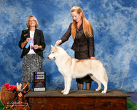 Siberian Huskies #16 Sun WB Stoghill Jennifer Judge Keke Kahn