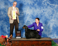 Spaniels Cocker Black #5 Sun G3 Pruitt Beate and Megan Pruitt Judge Jon Cole