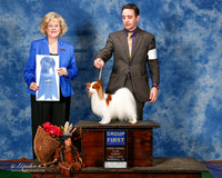 Papillon #19 Sun G1 Mosing Madeline and Breeders Agent Brian Livingston Judge Vicki Abbott