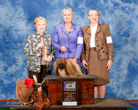 Pekingese #5 Sun BOB Skinner Colleen Doolin Judge Sharon Masnick