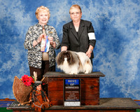 Pekingese #6 Sun BOW Dudley Marilyn Judge Sharon Masnick