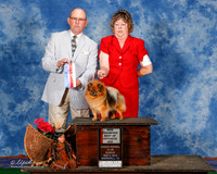 Pomeranian #10 Sun NC BOS Pelz Linda Judge Benson E Ray