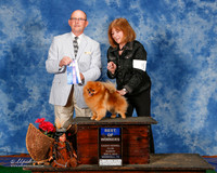 Pomeranian #5 Sun BOW Jackie Hirshberg J Alan Hirshberg Judge Benson Ray