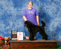 Poodle Standard #7 Sun 4-6 G1 Lovelady Debbie