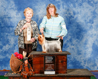 Silky Terrier #6 Sun OH G4 Bledsoe Donna