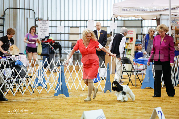 _JJ_2099-MarshMay2015-HR3